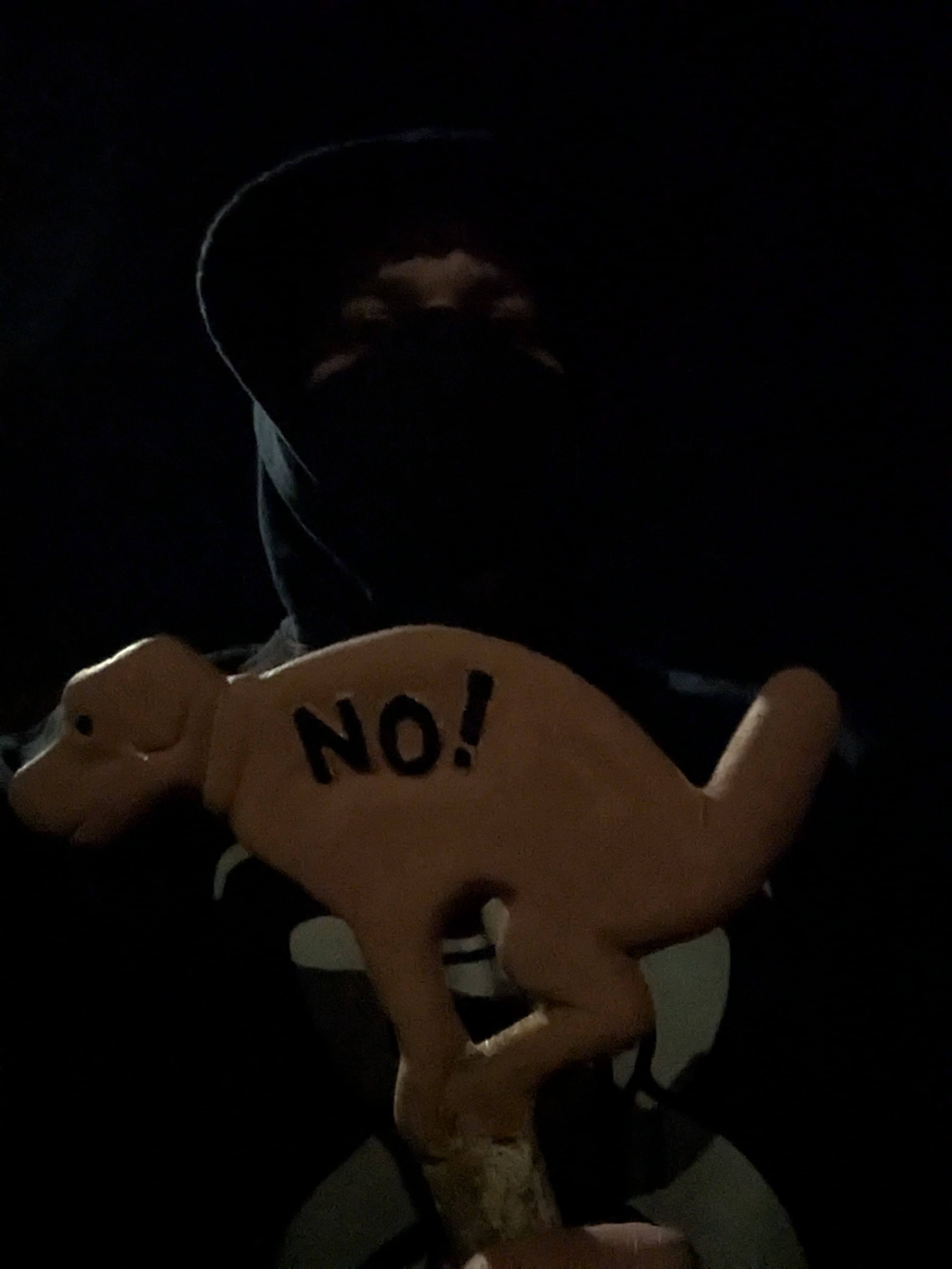 Back to the garden we go