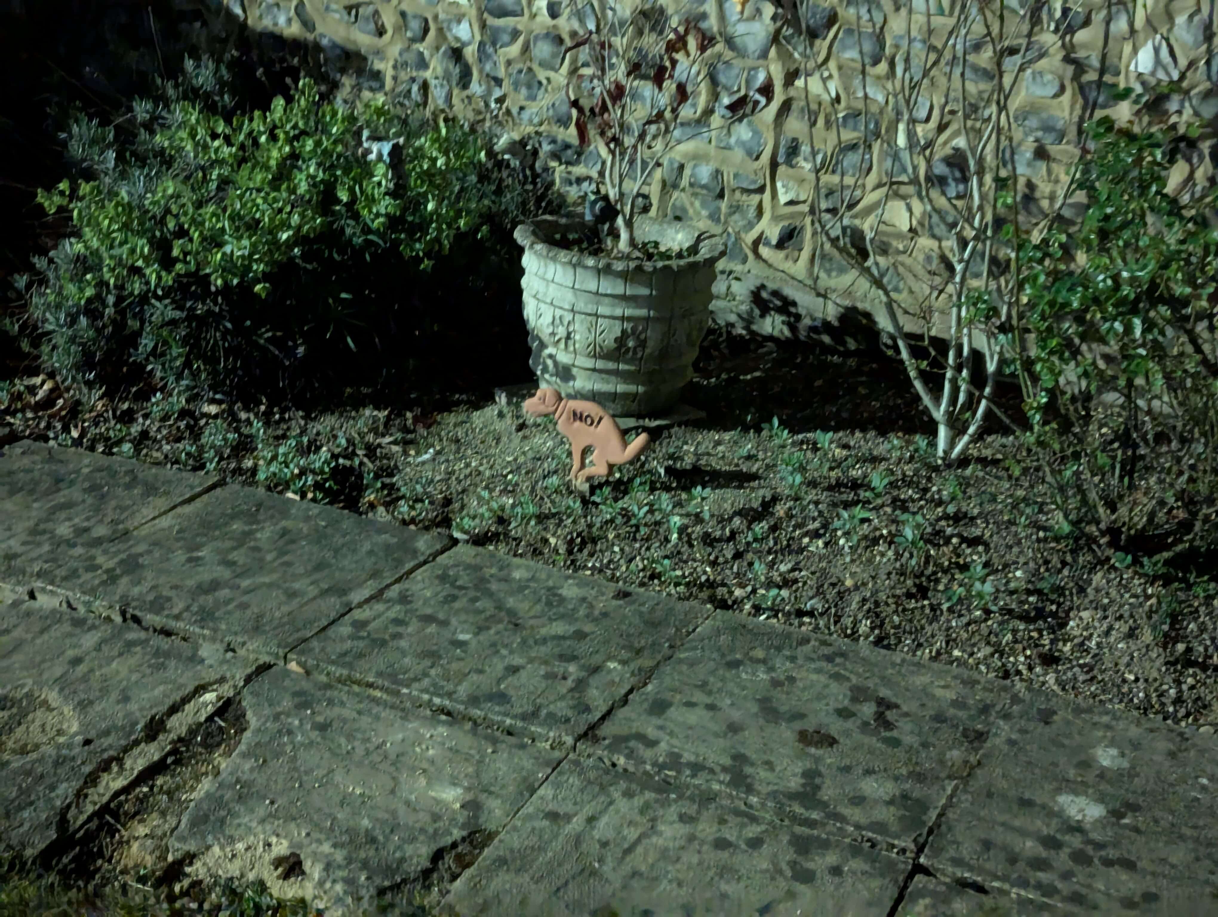 There he is, in all his glory